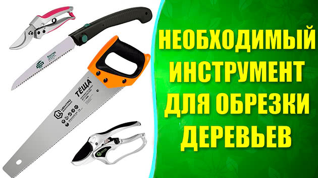 Інструменти для обрізування яблунь