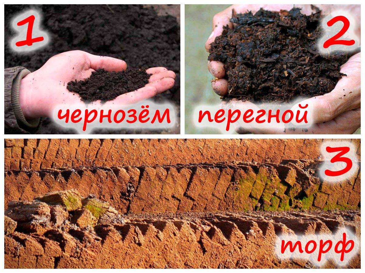 Компоненты для рассадного грунта