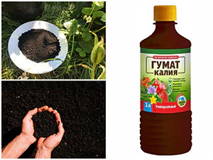 Гуматы для растений