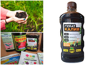 Гуматы для растений