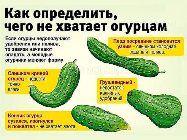 Брак мінералів огіркам