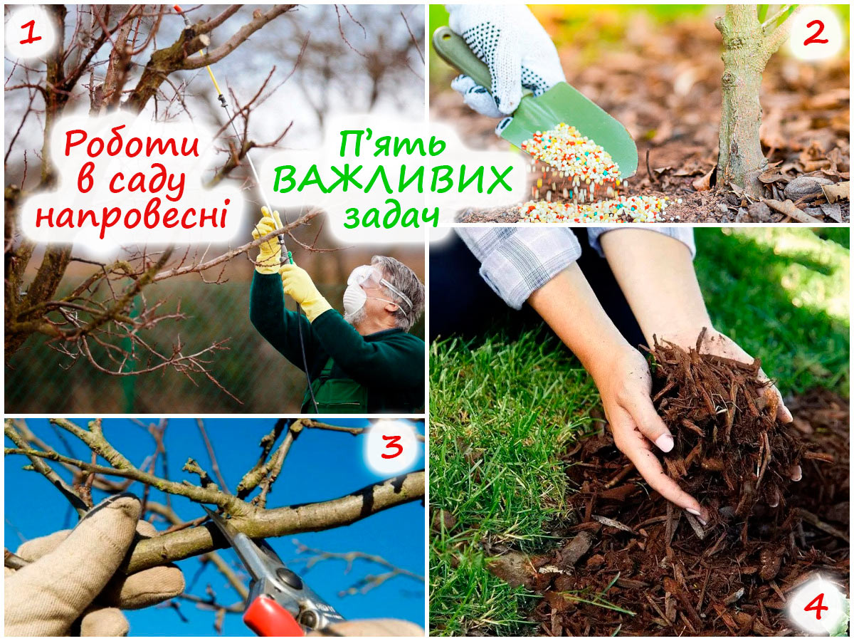 Роботи в саду у березні