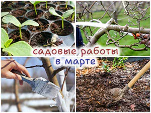 Работы в саду в марте