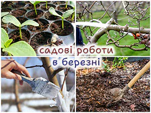 Роботи в саду в березні