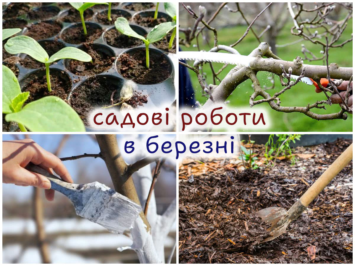 Роботи в саду в березні