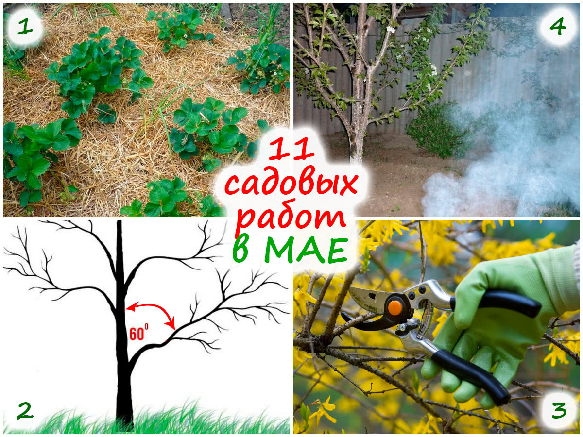 Садовые работы в мае