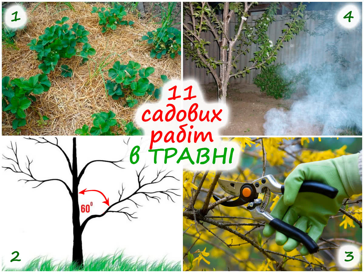 Садові роботи у травні