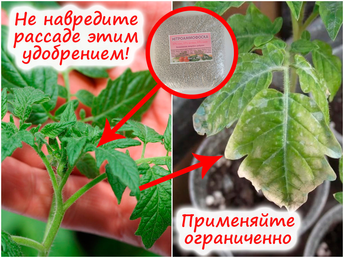 Опасность нитроамофоски