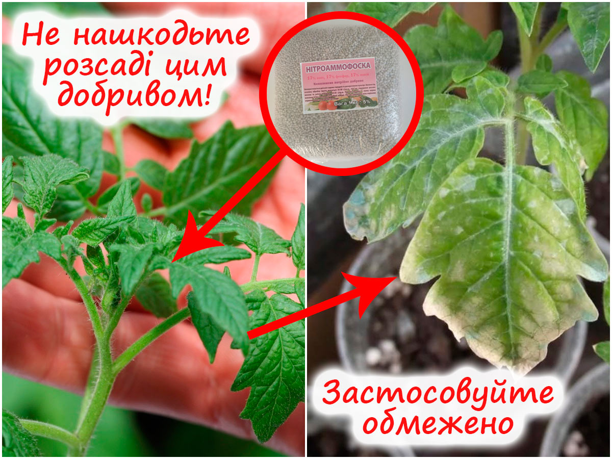 Небезпека нітроамофоски