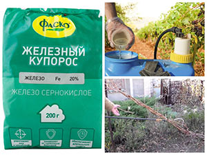 Обробка винограду восени