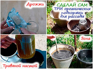 Удобрения для рассады