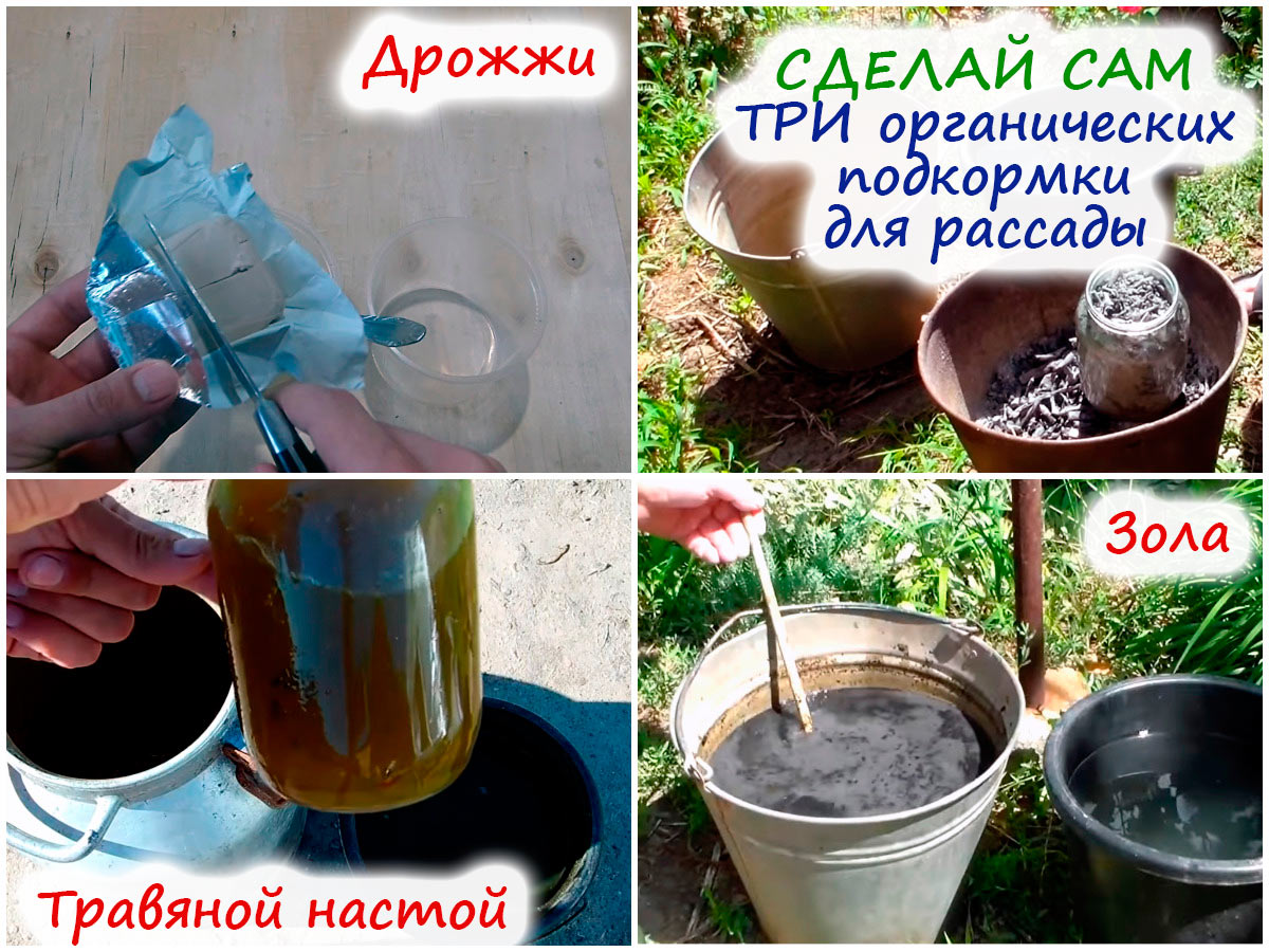 Удобрения для рассады