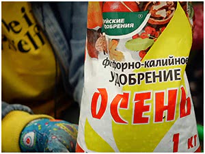 Посадка вересков
