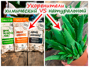 Природные укоренители