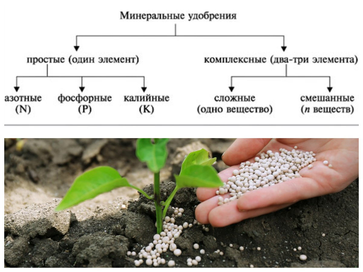Прості та складні добрива