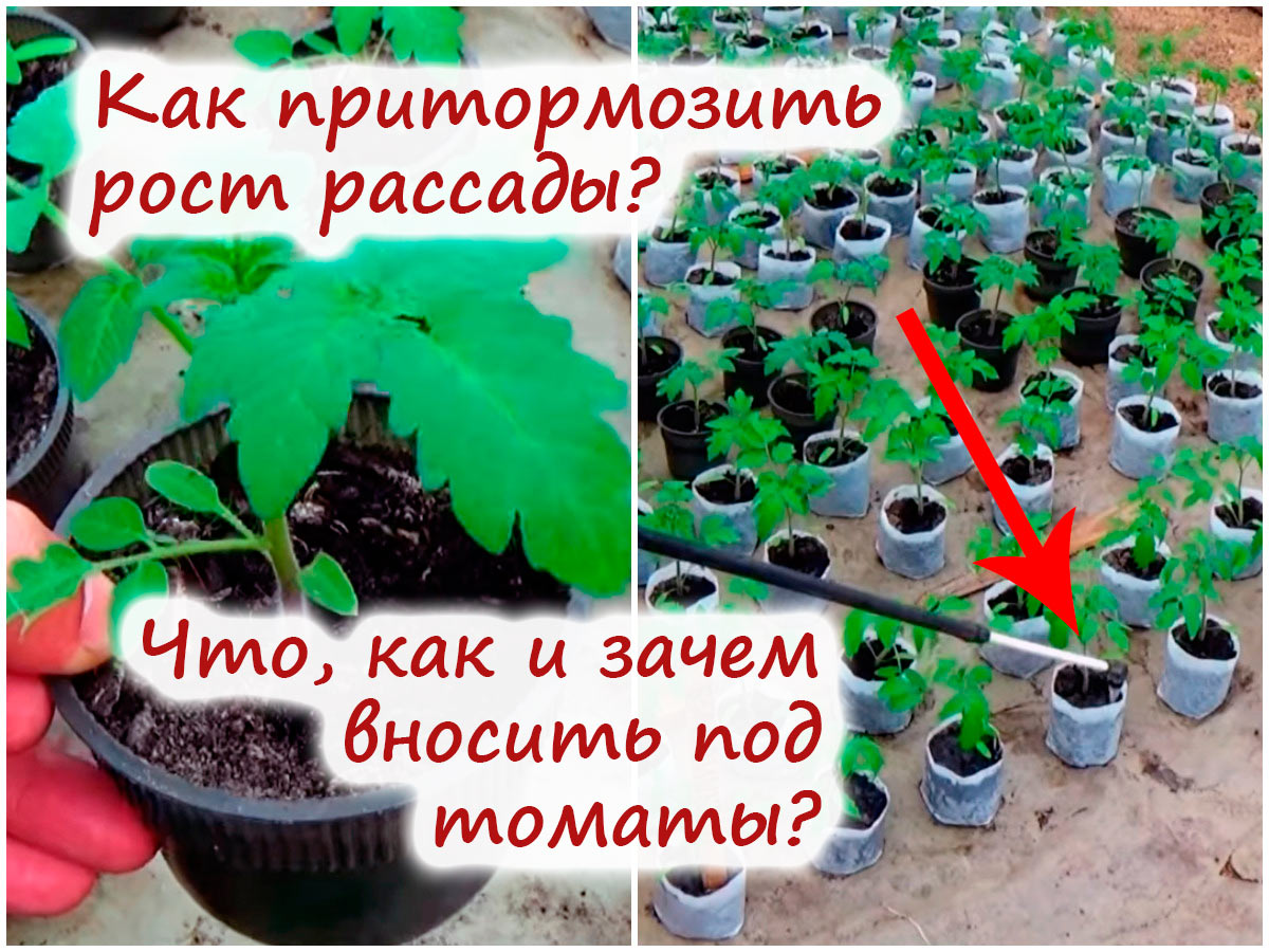Использование регуляторов роста