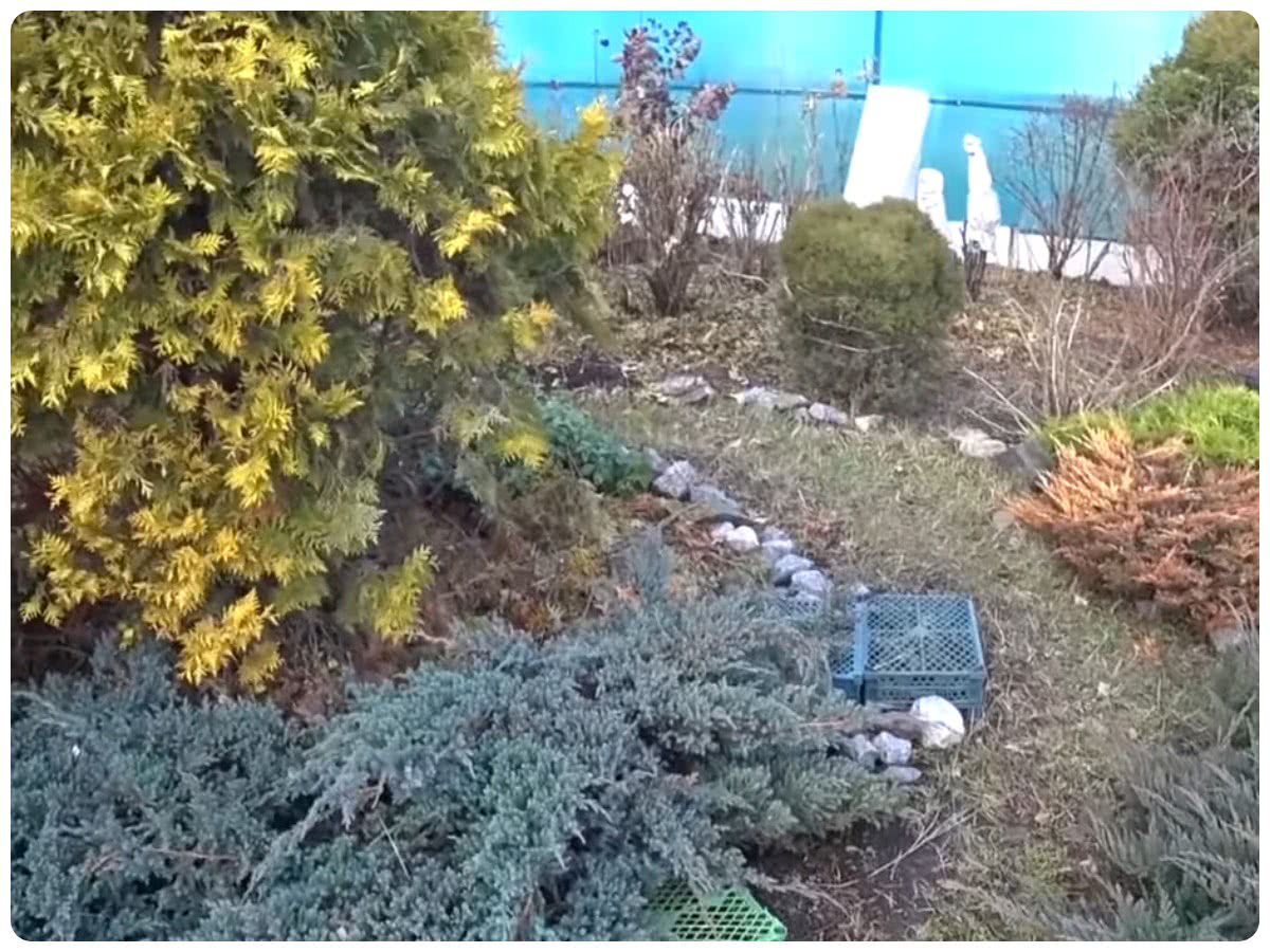 Зима без снега
