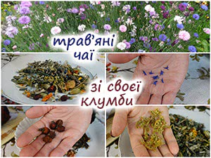 Трав'яний чай із клумби