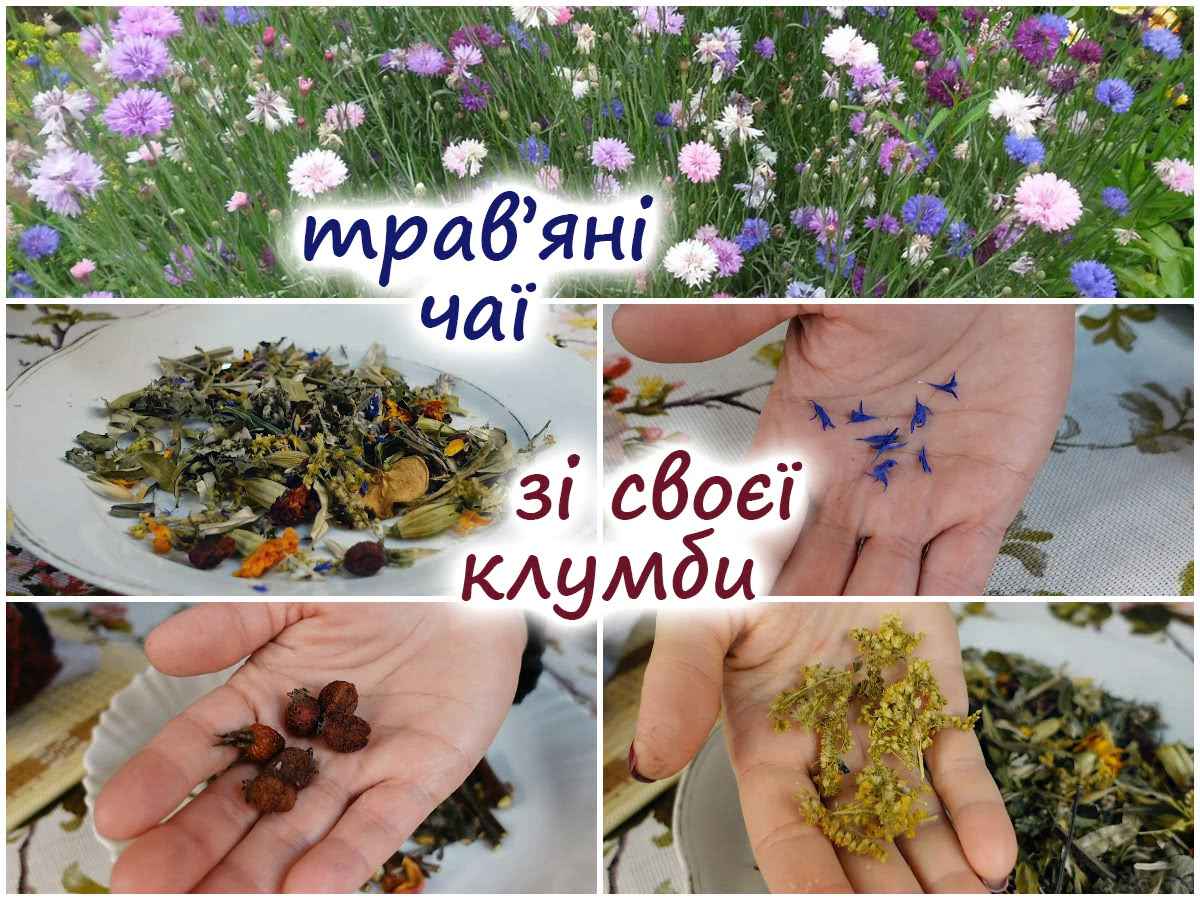 Трав'яний чай із клумби