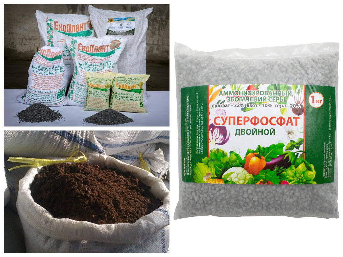 Осеннее внесение удобрений