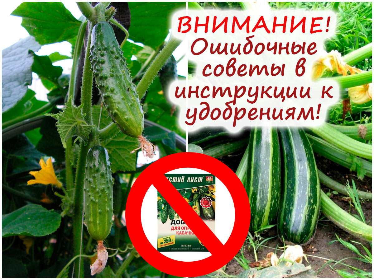 Неправильная подкормка растений