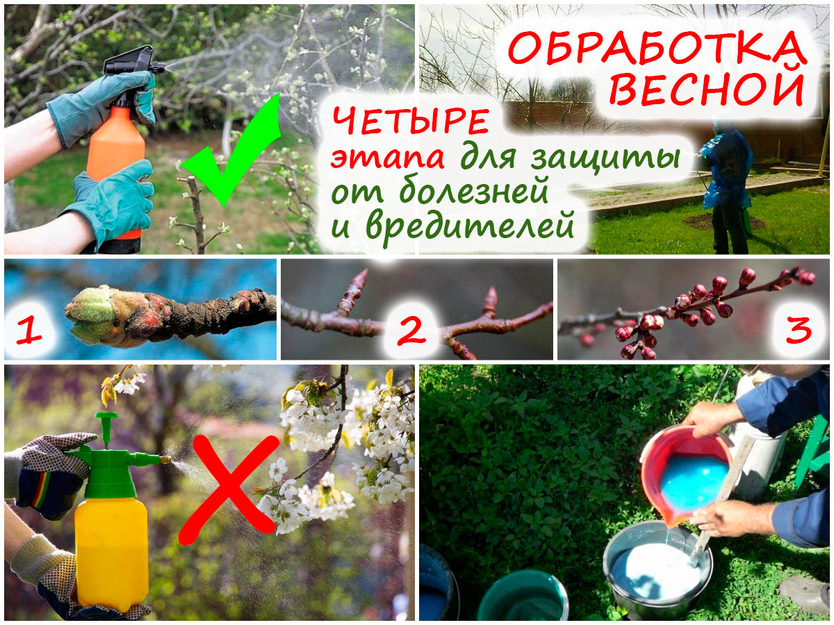 Обработка сада весной