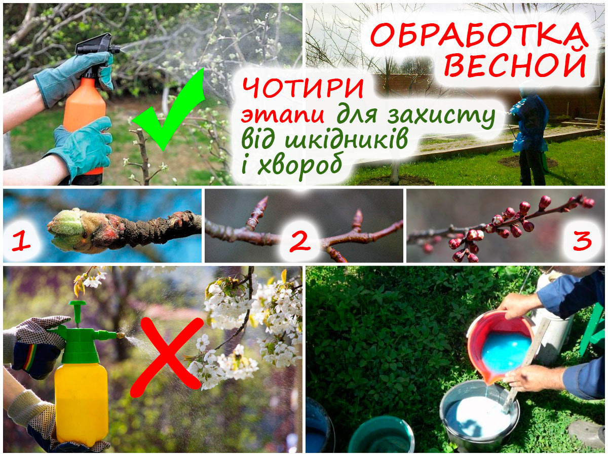 Обробка саду навесні