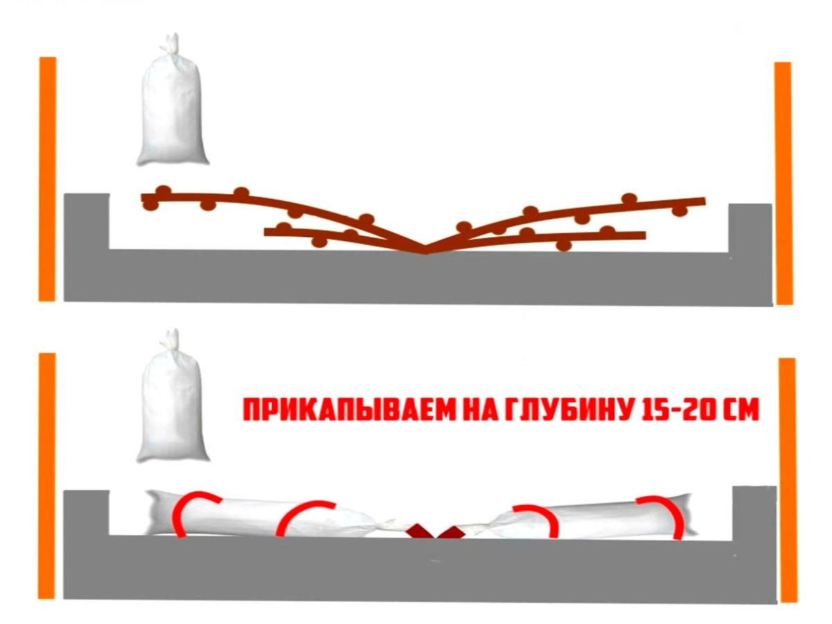 Как укрыть виноград на зиму