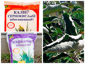Внекорневые подкормки по листу